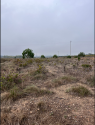 Otros en GUADASEQUIES