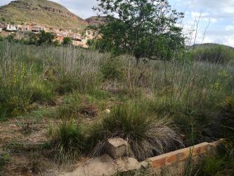 Finca rústica en BUGARRA