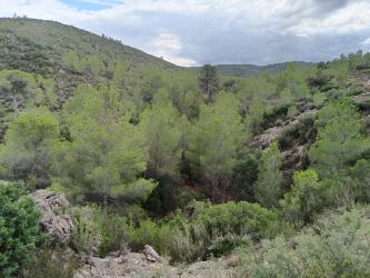 Finca rústica en BUGARRA
