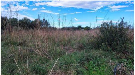 Finca rústica en ALZIRA