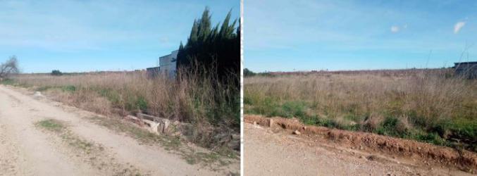 Finca rústica en ALZIRA