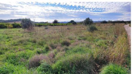 Finca rústica en ALZIRA