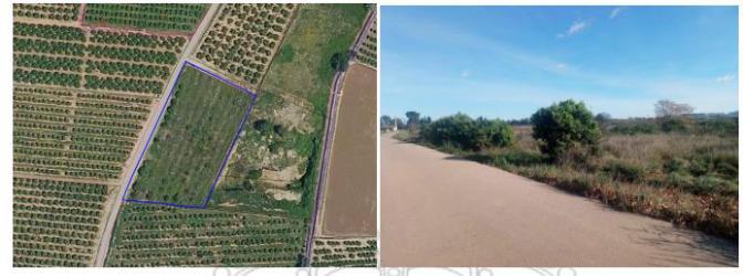 Finca rústica en ALZIRA