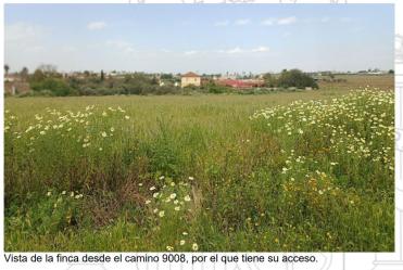 Finca rústica en BOLLULLOS DE LA MITACION
