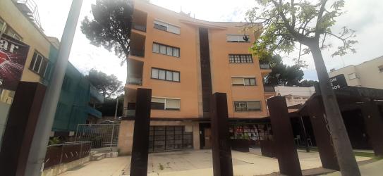 Local comercial en PALMA DE MALLORCA