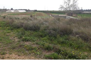 Finca rústica en LES BORGES DEL CAMP