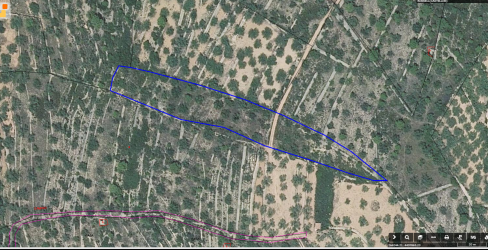 Finca rústica en ROSSELL