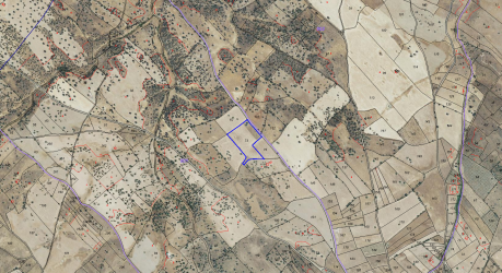 Finca rústica en CARRASCALEJO