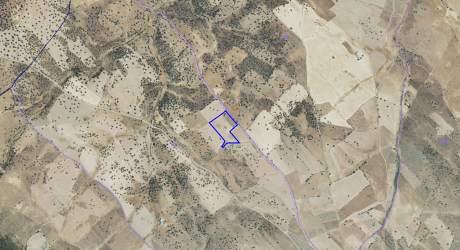 Finca rústica en CARRASCALEJO