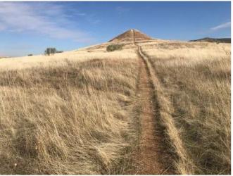 Solar en TORRES DE LA ALAMEDA