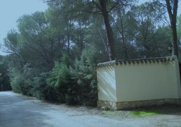 Vivienda en ALBACETE