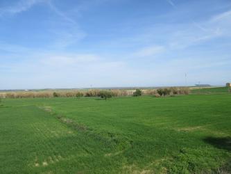 Finca rústica en PALMA CDO LA