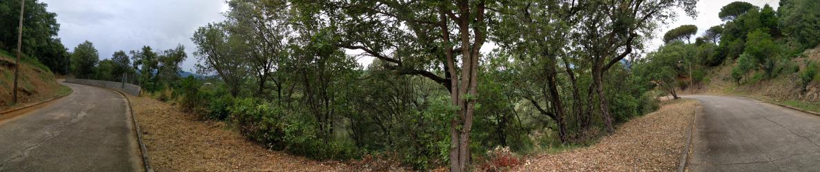 Solar en RIELLS I VIABREA