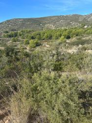 Solar en PENÍSCOLA/PEÑÍSCOLA