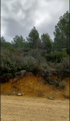 Finca rústica en SIETE AGUAS