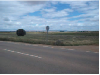 Finca rústica en CONSUEGRA