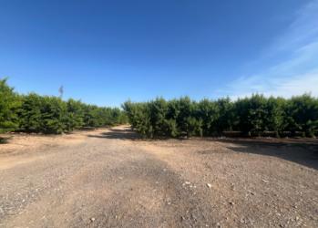 Finca rústica en FRAGA