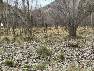 Finca rústica en PERALEJOS