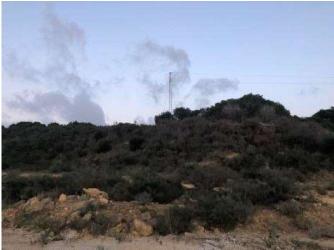 Finca rústica en SAN ROQUE