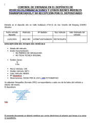 CSR NKT1 en Valencia